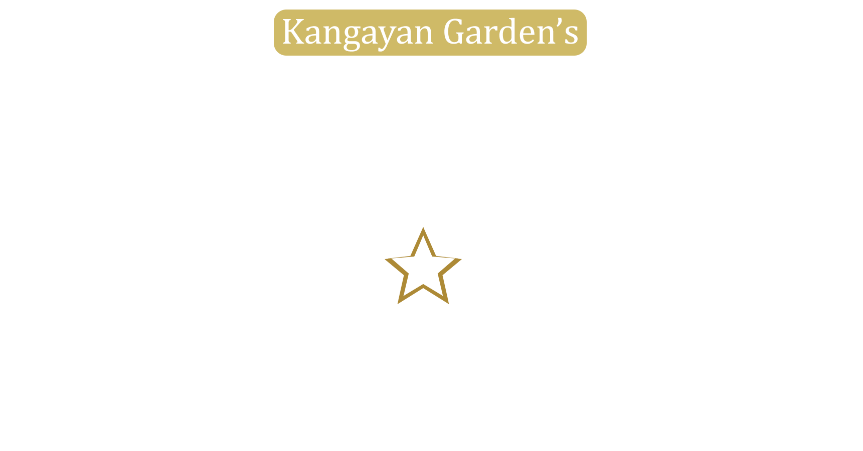 Hindhusthaan Cattle Feeds